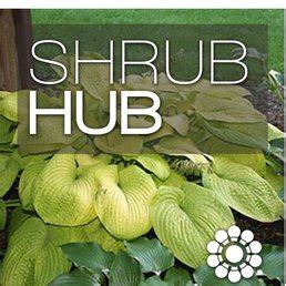 Shrubhub reviews. Things To Know About Shrubhub reviews. 